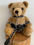 🐻 Adopted - Bondage Bears 🐻