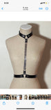 Oracle harness