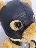 🐻 Adopted - Bondage Bears 🐻 Rusty