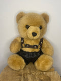 Available - Teddy Bear - Ben 🐻